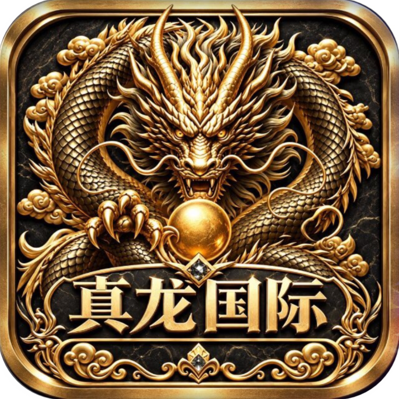 真龙国际